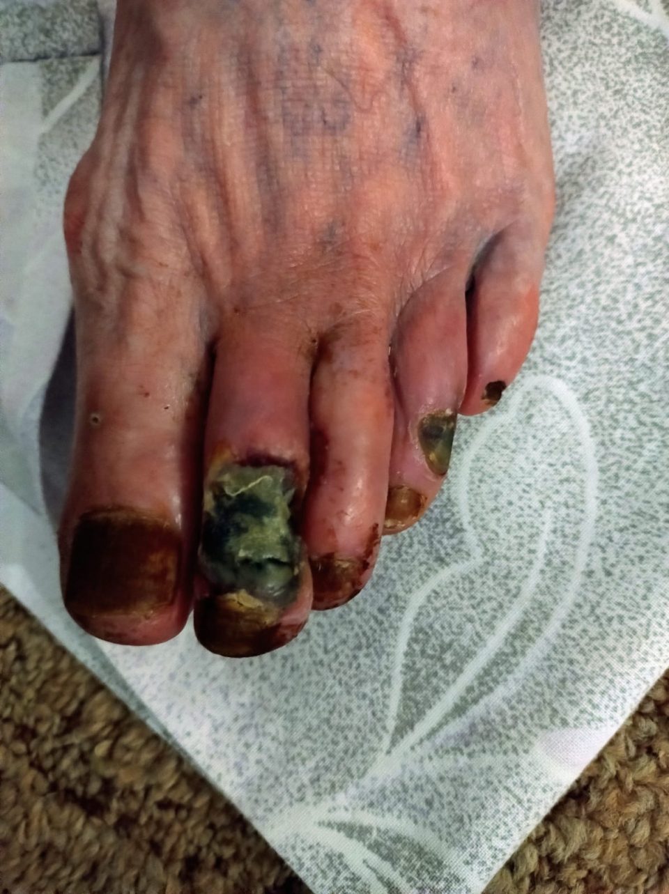 Image #1 from Eva Radimakova